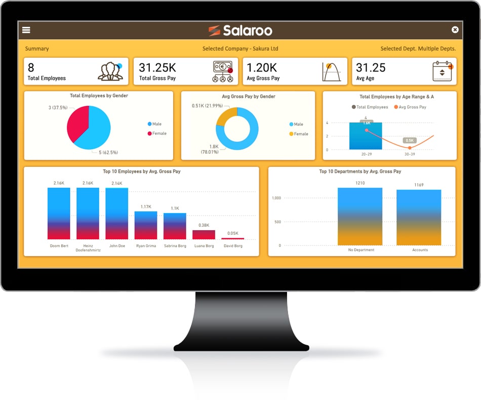 Salaroo Power BI preview
